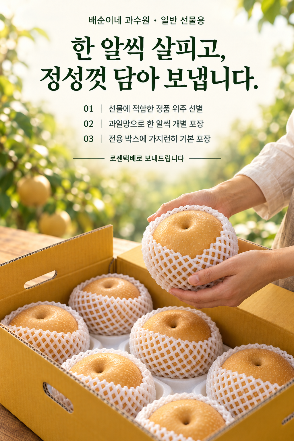 정품 위주 선별, 과일망 개별 포장, 전용 박스 기본 포장과 로젠택배 배송을 소개하는 포장 과정 이미지